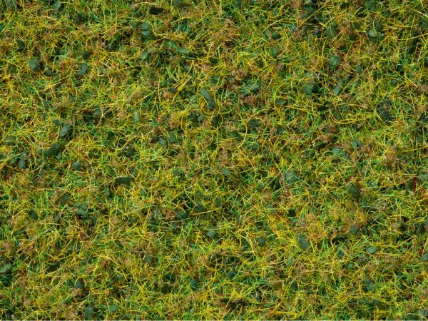 NOC07077 - Bote de mezcla de flocado verde 100g 2;5 a 6mm - 1