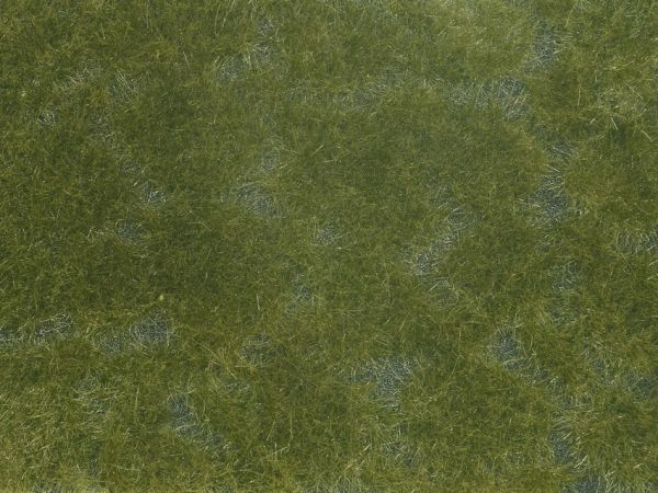 NOC07252 - Follaje vegetal; verde oscuro 12x18 cm - 1