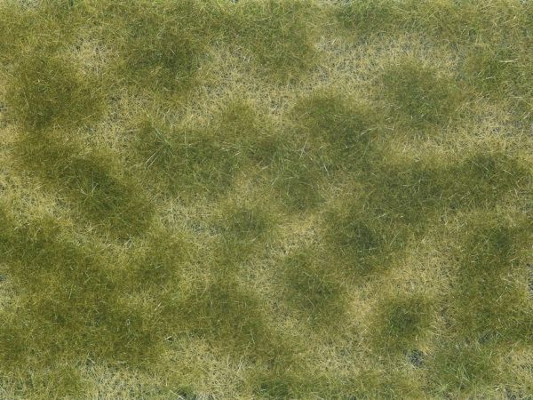 NOC07253 - Follaje vegetal verde/beige 12x18 cm - 1