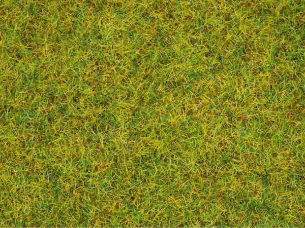 NOC08151 - Bote de 120 g de hierba de pradera de primavera flocado de 2;5 mm - 1