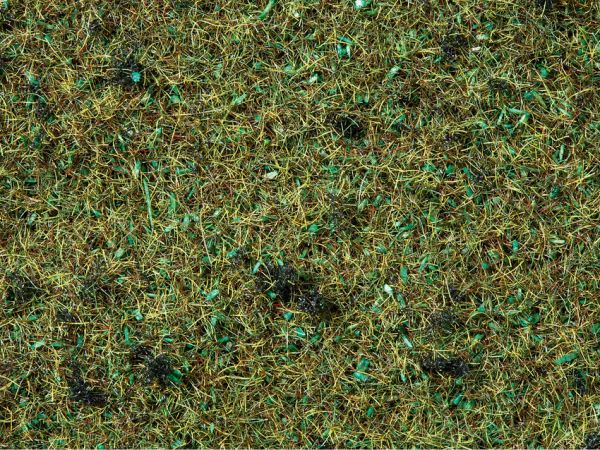 NOC08157 - Maceta flocado tierra bosque verde 120g 2;5mm - 1