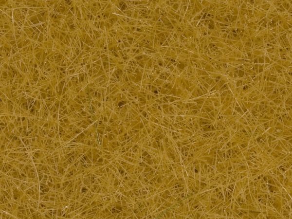 NOC08362 - Hierbas beige - 4mm - 20g - 1