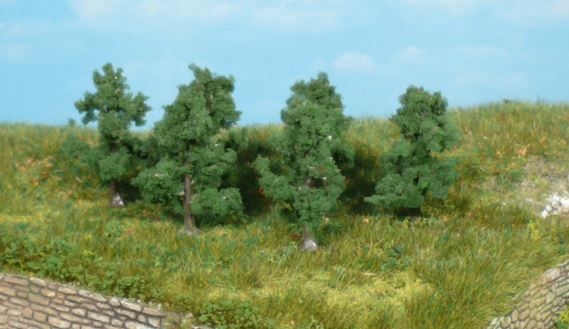 HEK1162 - 6 manzanos de 4 cm - 1