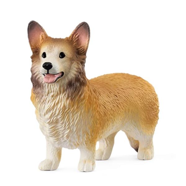 SHL13999 - Perro Welsh Corgi - 1