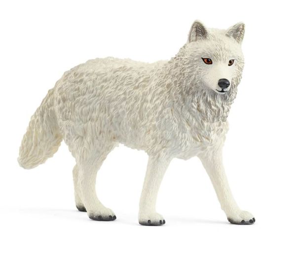 SHL14880 - Lobo Ártico - 1