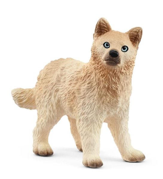 SHL14881 - Cachorro de Lobo Ártico - 1