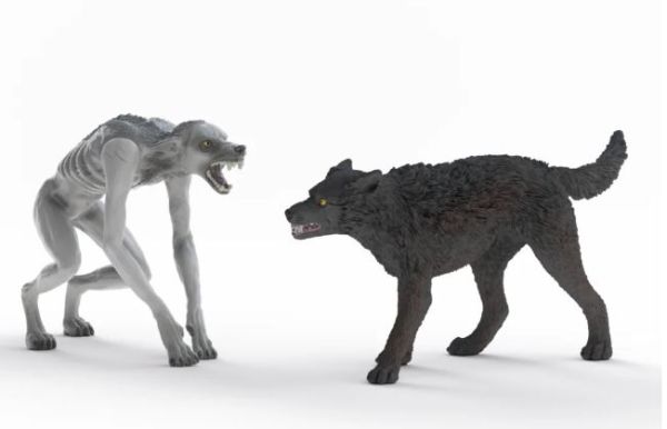 SHL14906 - Hombre Lobo vs. Animago - 1