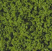 HEK1561 - Follaje verde medio - 200 ml - 1