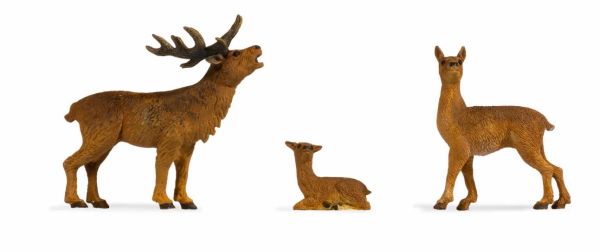 NOC17200 - Ciervo - 1