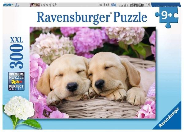RAV132355 - Rompecabezas de 300 piezas Perros lindos en una canasta - 1