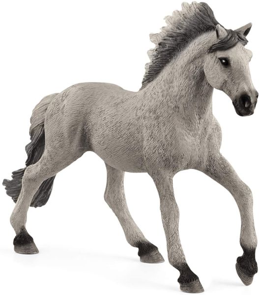 SHL13915 - Mustang semental Sorraia - 1