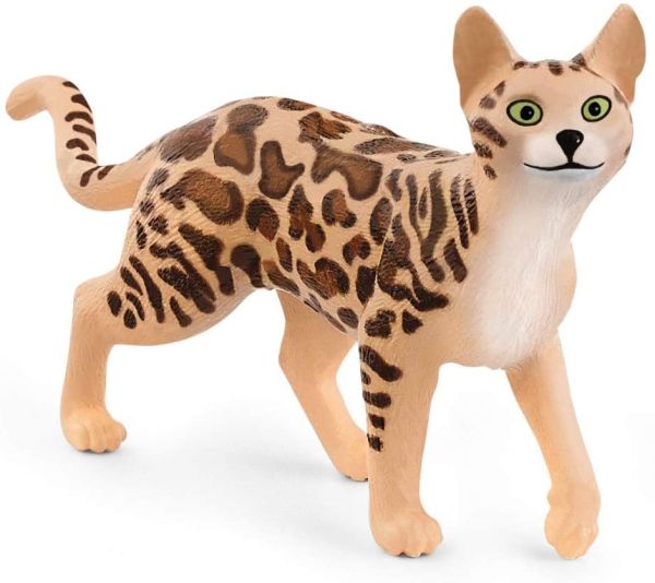 SHL13918 - gato de bengala - 1