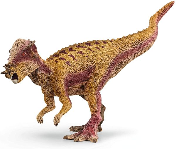 SHL15024 - Paquicefalosaurio - 1