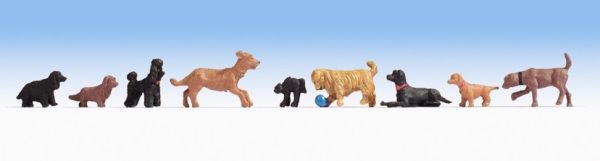 NOC15719 - varios perros - 1