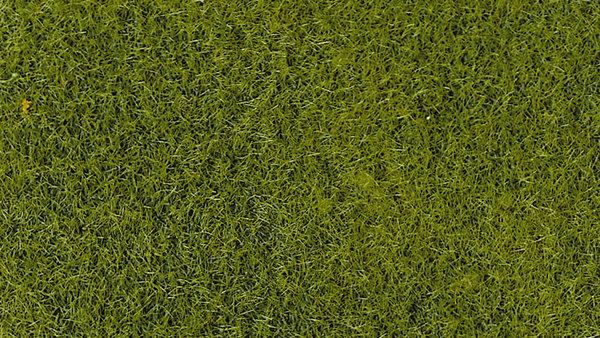 HEK3364 - Bolsa de 50 g de flocado verde claro de 2-3 mm - 1