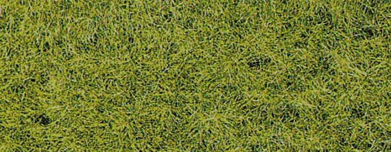 HEK3376 - Material para flocar XL 10 mm primavera - 50 g - 1