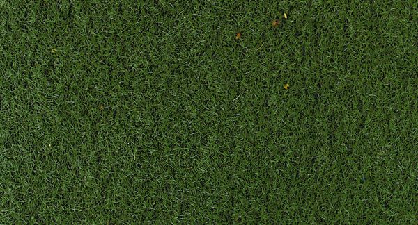 HEK3366 - Bolsa de 50 g de hierbas verde oscuro 2-3 mm - 1
