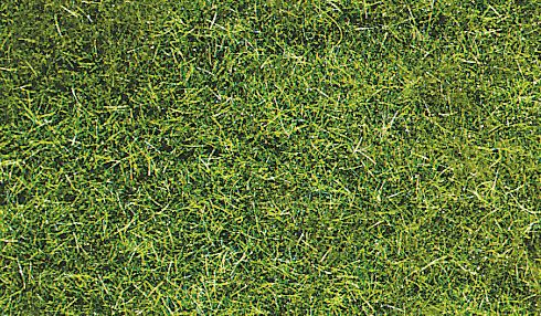 HEK3369 - Bolsa 75 g de hierba silvestre verde oscuro 5-6 mm - 1