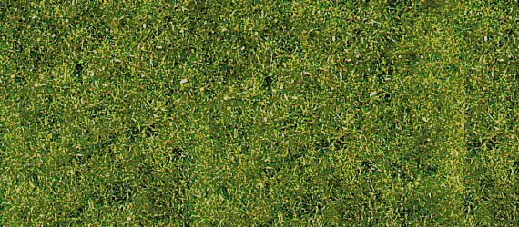 HEK1594 - Estera de hierba de pradera de montaña 24 x 14 cm - 1