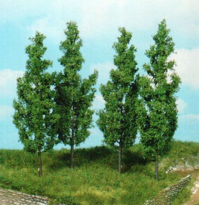 HEK1719 - 4 álamos de 14 cm - 1