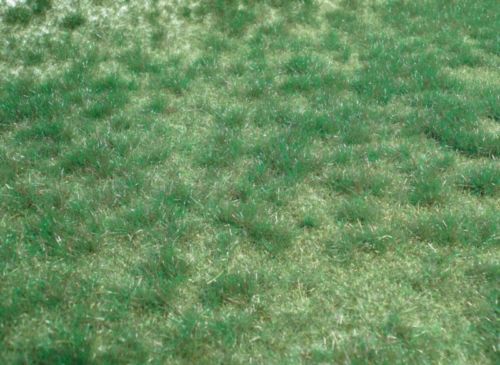 HEK1843 - Alfombra de hierba silvestre verde marisma 45 x 17 cm - 1