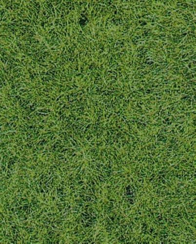 HEK1871 - Alfombra de hierba silvestre Woodland 40 x 24 cm - 1