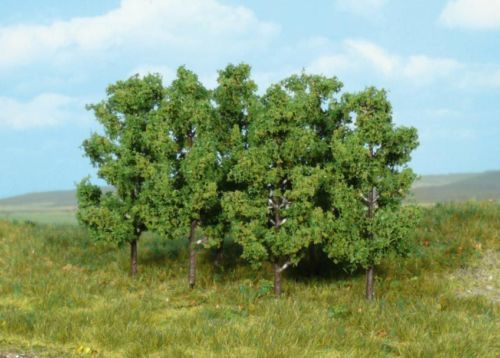 HEK1999 - 6 Alisos 8 cm - 1