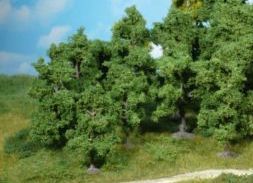 HEK1950 - Lote de 10 arboles frutales 8-12 cm - 1