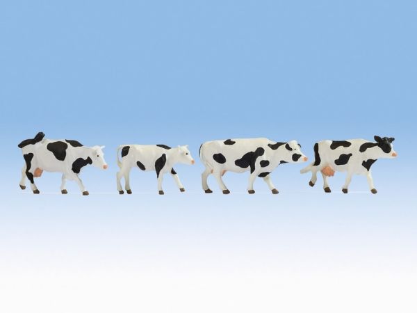 NOC17900 - vacas blancas y negras - 1