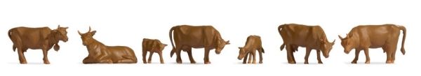 NOC18216 - vacas marrones - 1