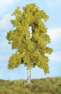 HEK19105 - Abedul 18 cm - 1