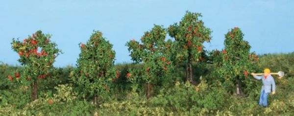 HEK19131 - 5 manzanos de 4 cm - 1