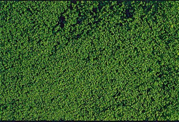 HEK1602 - Flocado de espuma verde oscuro 14x28 cm - 1