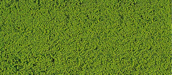 HEK1600 - Flocado foam verde claro 14x28 cm - 1