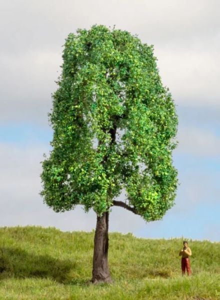 NOC20101 - Fresno de 13 cm - 1