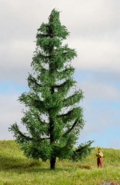 NOC20193 - Abeto 15 cm - 1