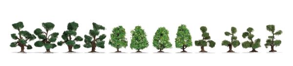 NOC21546 - 12 Arbustos ornamentales, de 4 a 5 cm. - 1