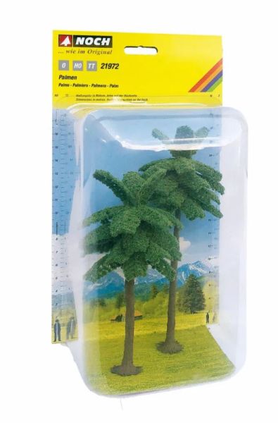NOC21972 - 2 Palmeras de 15 y 19 cm - 1