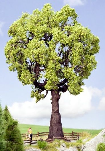 NOC21761 - Roble 19cm - 1