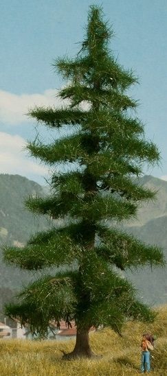 NOC21812 - Árbol Nordmann 18;5 cm - 1