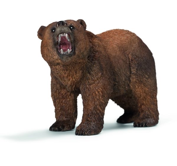 SHL14685 - Oso grizzly - 1