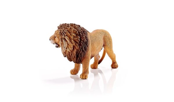 SHL14726 - león rugiente - 1