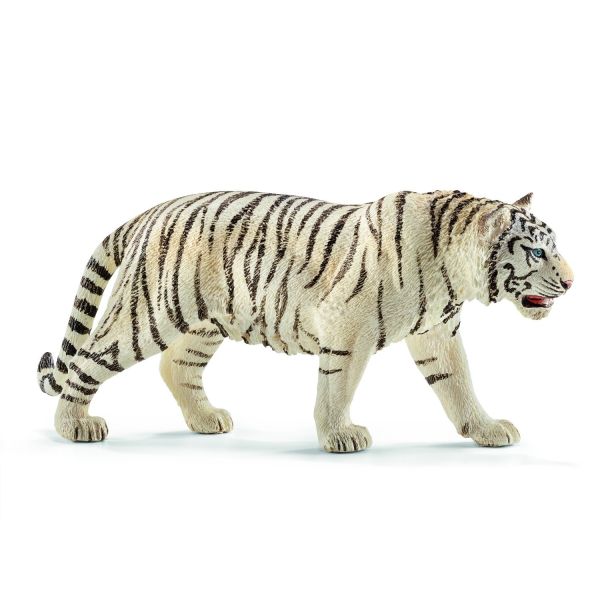 SHL14731 - tigre blanco macho - 1