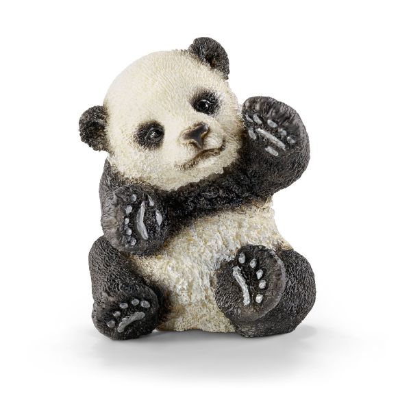 SHL14734 - bebé panda jugando - 1