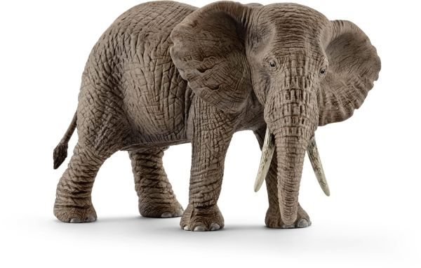SHL14761 - elefante africano hembra - 1