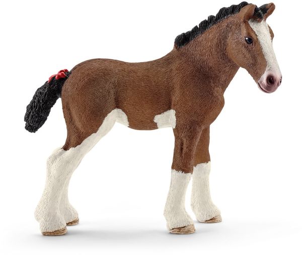SHL13810 - Potro de Clydesdale - 1