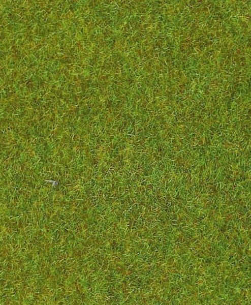 HEK30903 - Alfombra de césped verde claro - 100x300 cm - 1