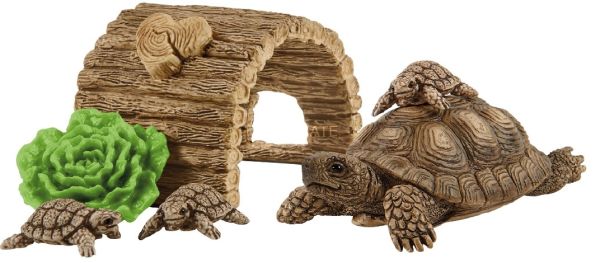 SHL42506 - casa para tortugas - 1