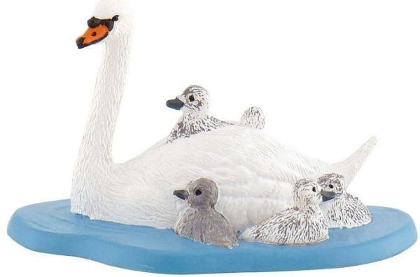 BUL62322 - familia de cisnes - 1