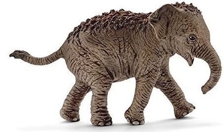 SHL14755 - Bebé elefante asiático - 1